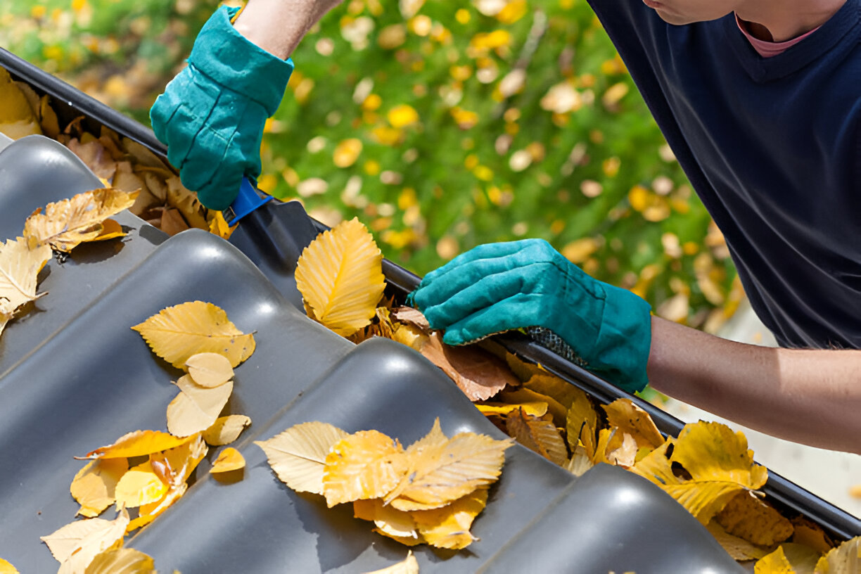 Yard Cleaning Services